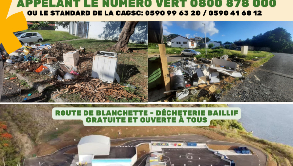 Ramassage des déchets verts